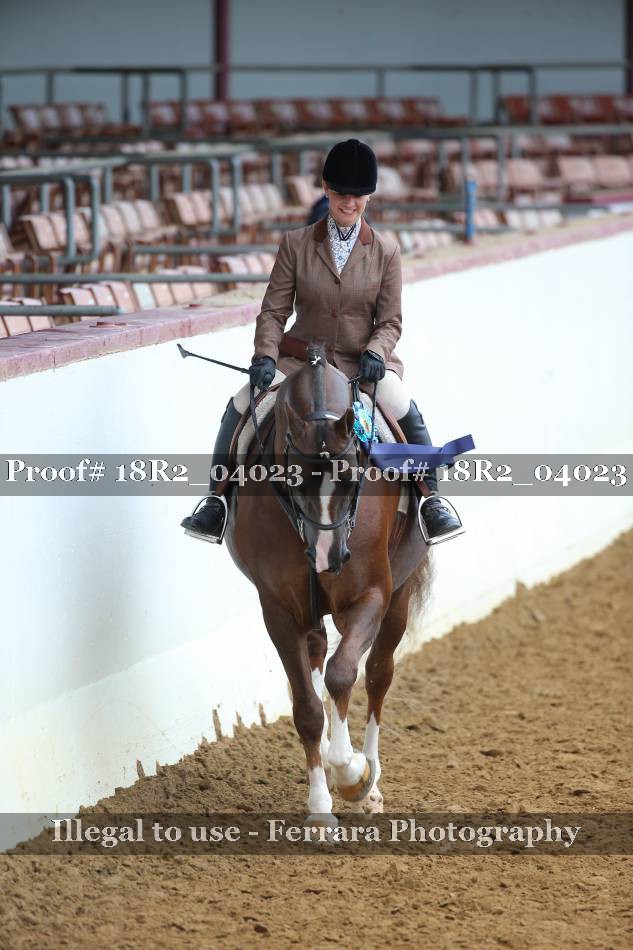 Proof Number 18R2_04023