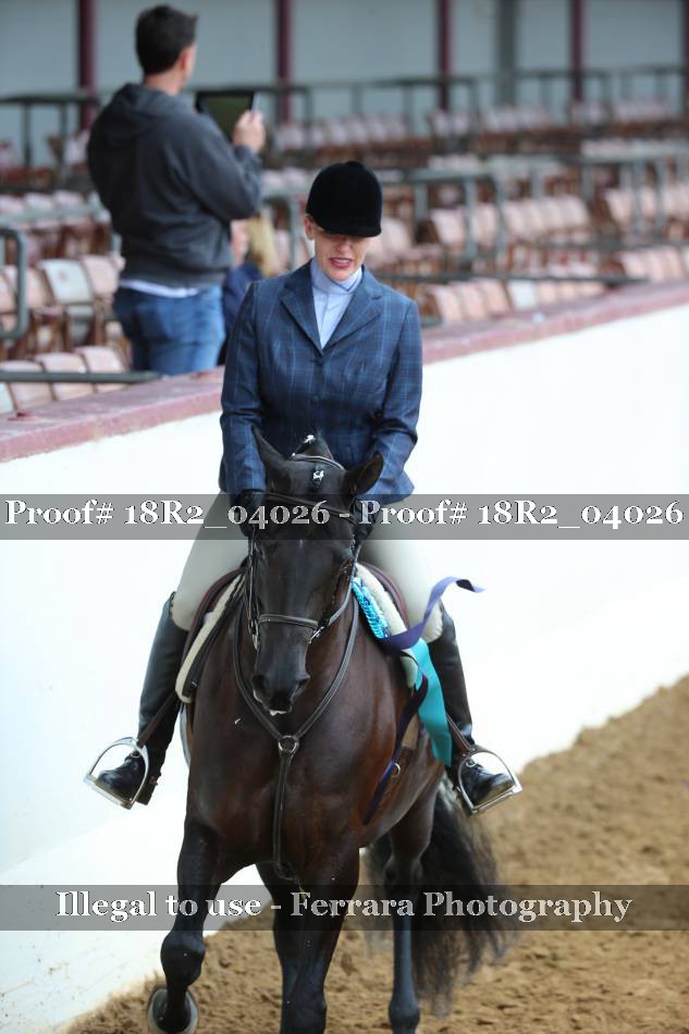 Proof Number 18R2_04026