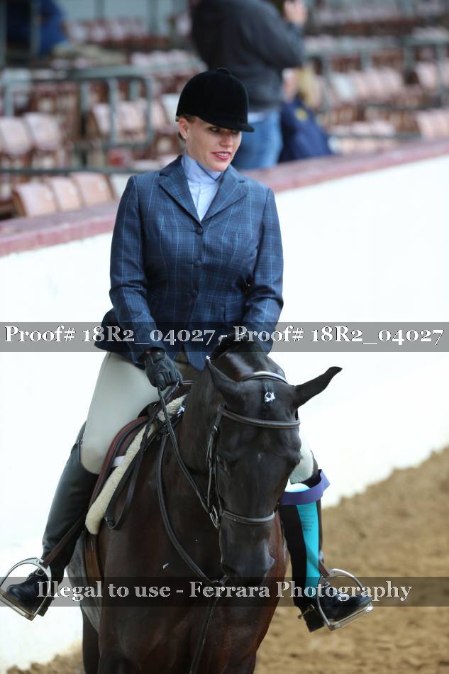 Proof Number 18R2_04027