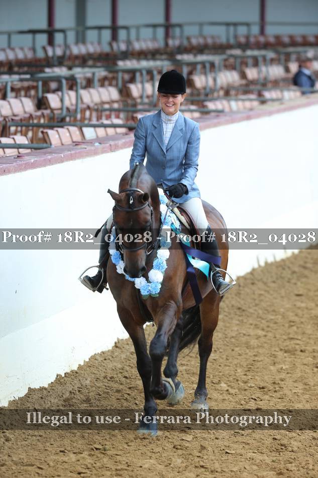 Proof Number 18R2_04028