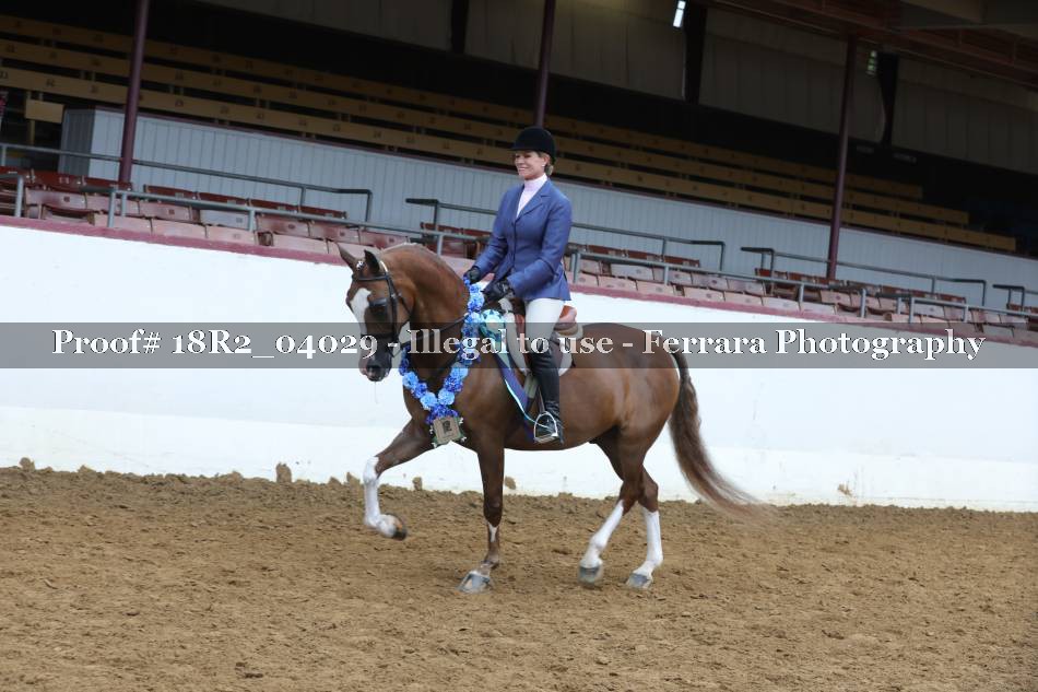 Proof Number 18R2_04029