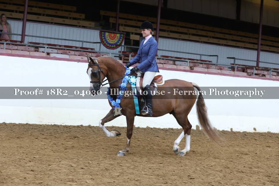 Proof Number 18R2_04030