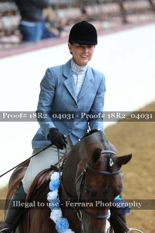 Proof Number 18R2_04031