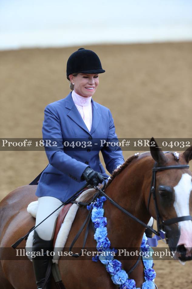 Proof Number 18R2_04032