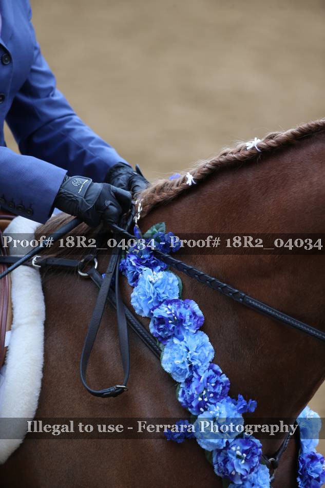 Proof Number 18R2_04034