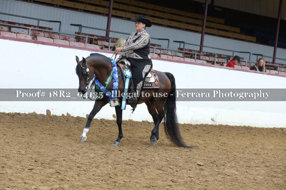 Proof Number 18R2_04135
