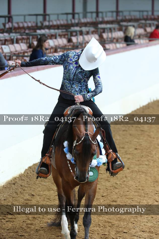 Proof Number 18R2_04137
