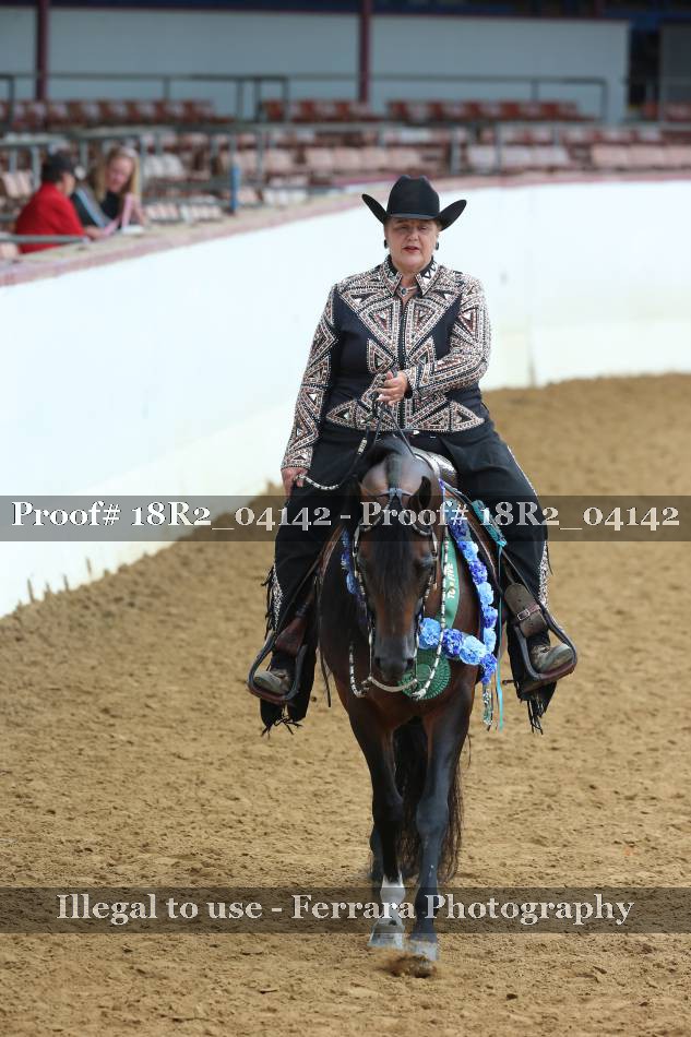 Proof Number 18R2_04142