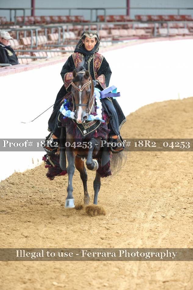 Proof Number 18R2_04253