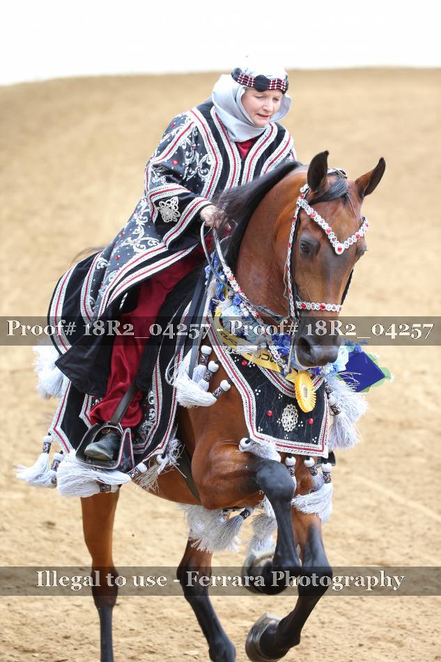 Proof Number 18R2_04257