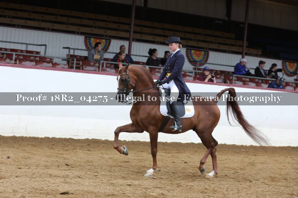 Proof Number 18R2_04275