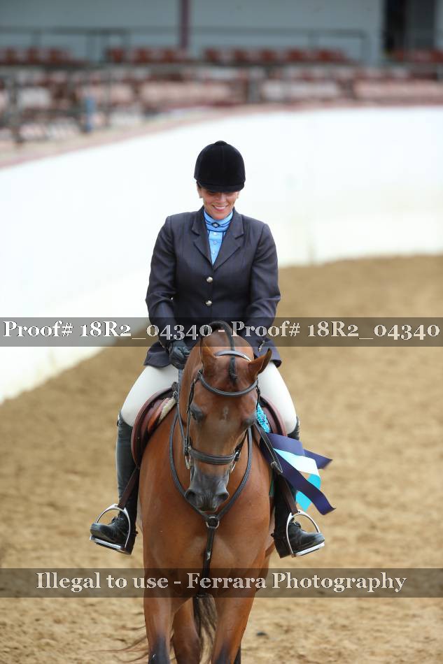 Proof Number 18R2_04340
