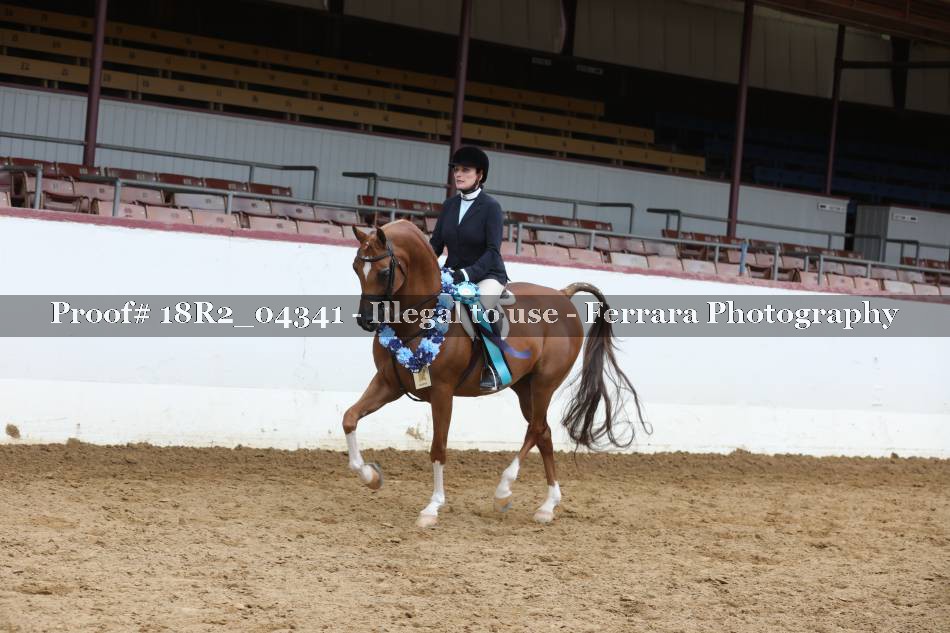 Proof Number 18R2_04341