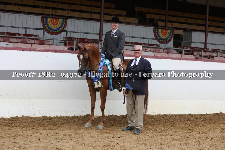 Proof Number 18R2_04372