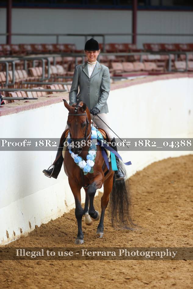 Proof Number 18R2_04388