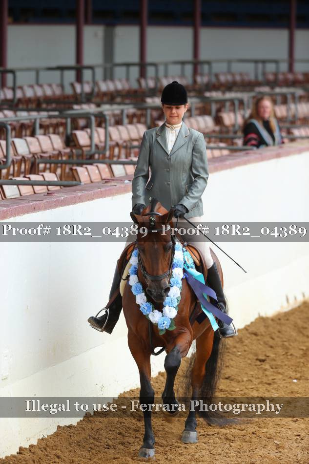 Proof Number 18R2_04389