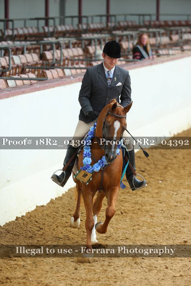 Proof Number 18R2_04392