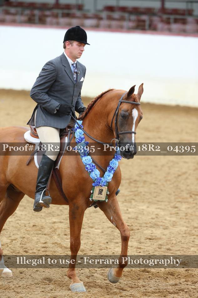Proof Number 18R2_04395