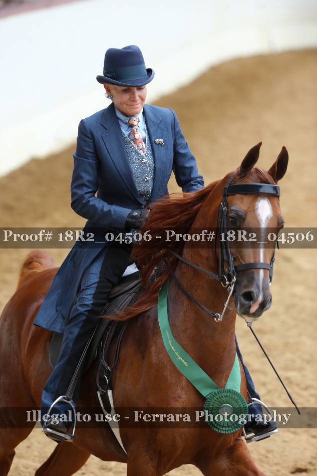 Proof Number 18R2_04506