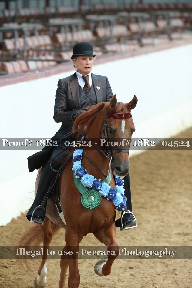 Proof Number 18R2_04524