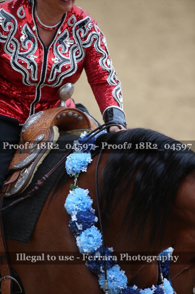 Proof Number 18R2_04597