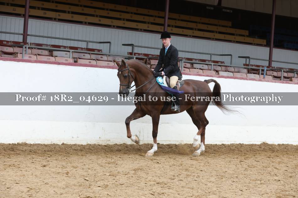 Proof Number 18R2_04629