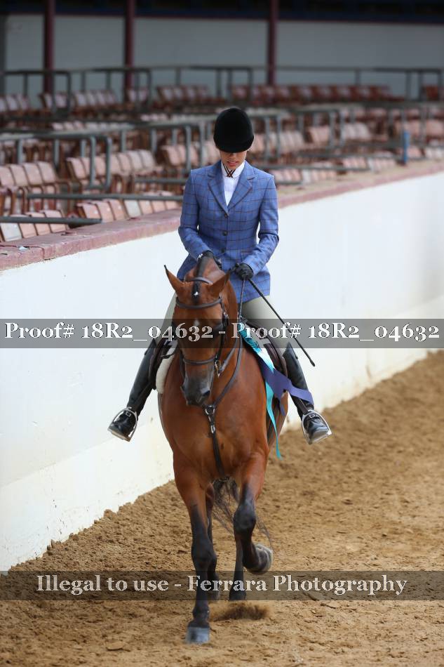Proof Number 18R2_04632