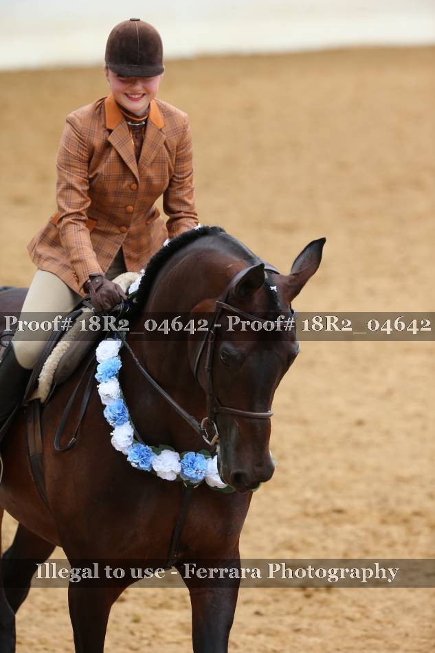 Proof Number 18R2_04642