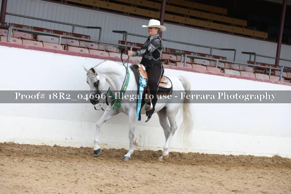Proof Number 18R2_04696