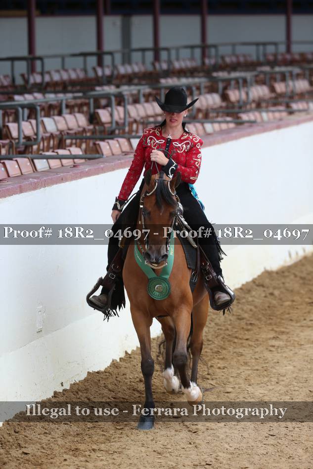 Proof Number 18R2_04697