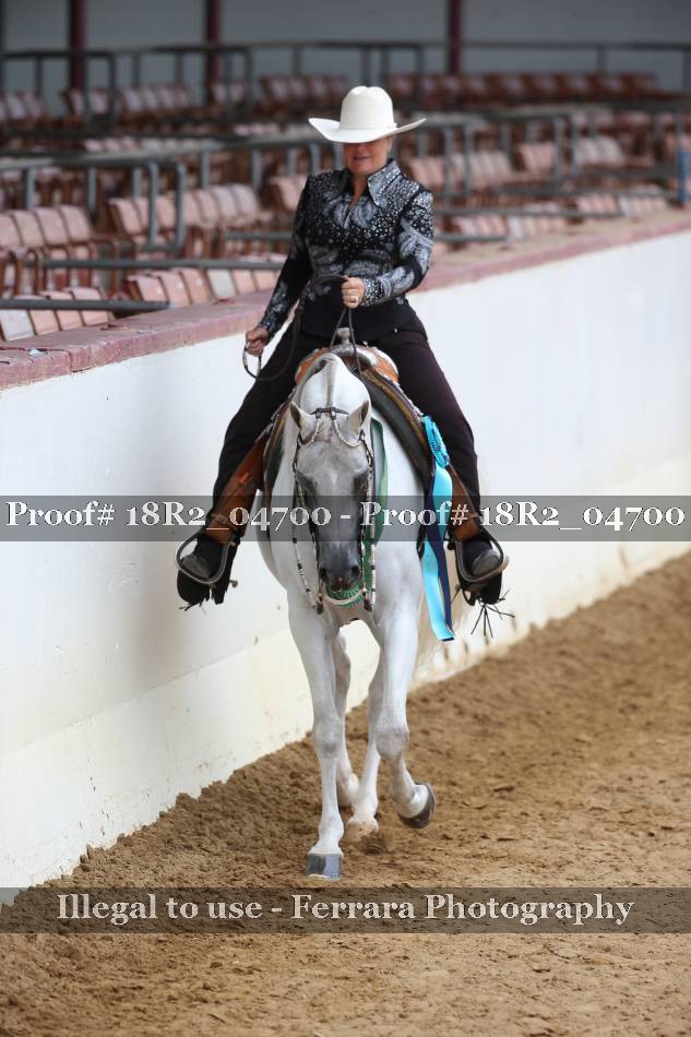 Proof Number 18R2_04700