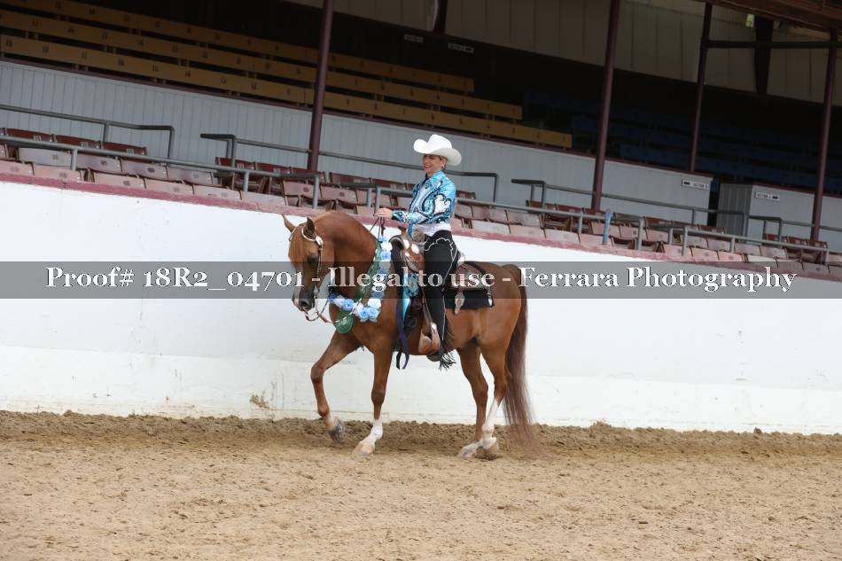 Proof Number 18R2_04701