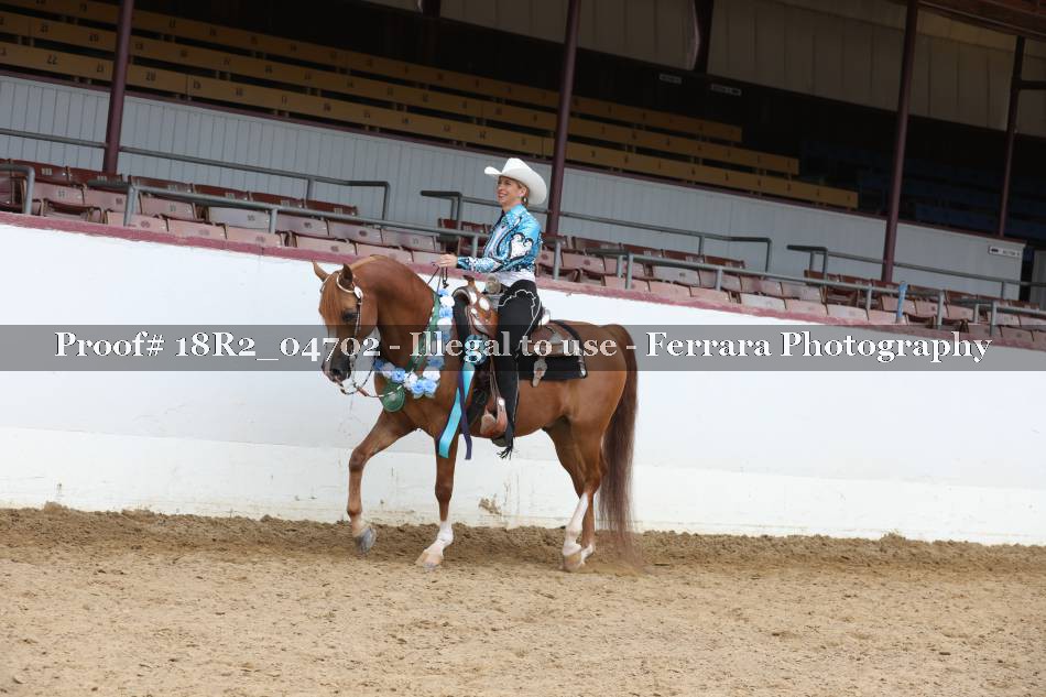 Proof Number 18R2_04702