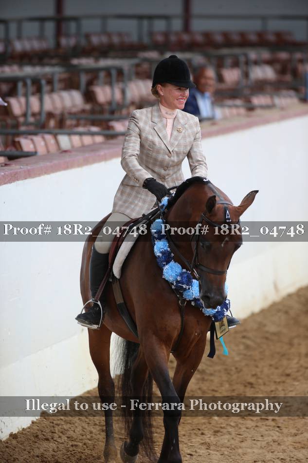 Proof Number 18R2_04748