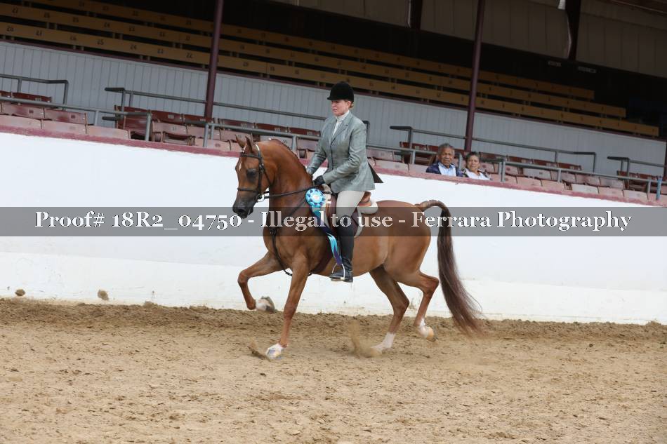 Proof Number 18R2_04750