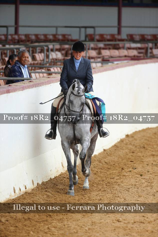 Proof Number 18R2_04757
