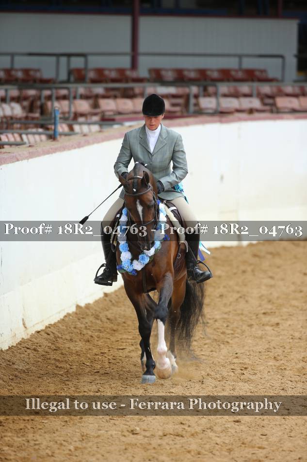 Proof Number 18R2_04763