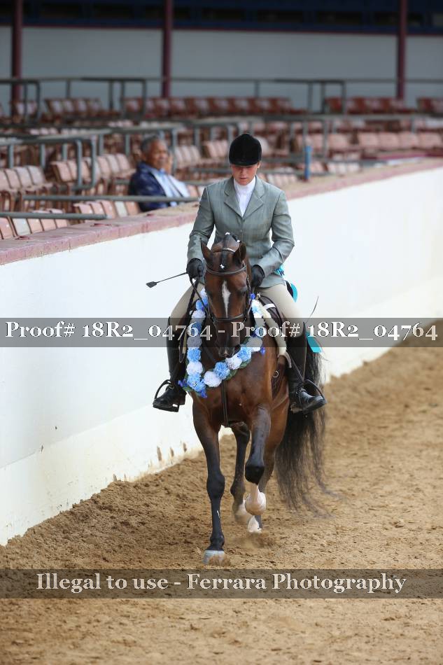 Proof Number 18R2_04764