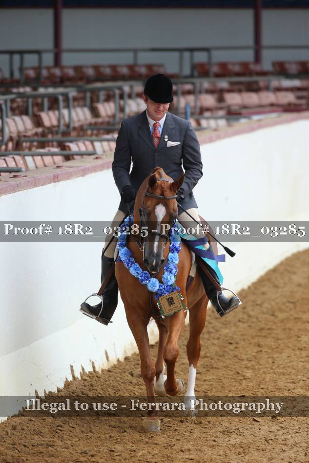 Proof Number 18R2_03285
