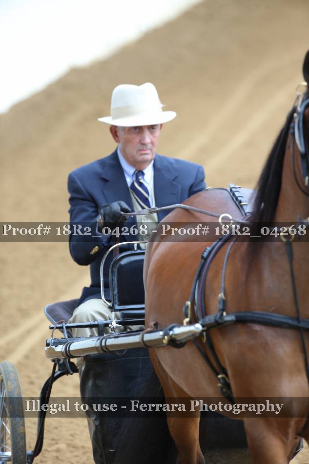 Proof Number 18R2_04268