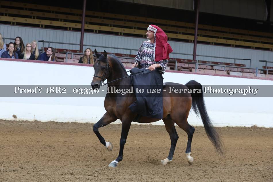 Proof Number 18R2_03330