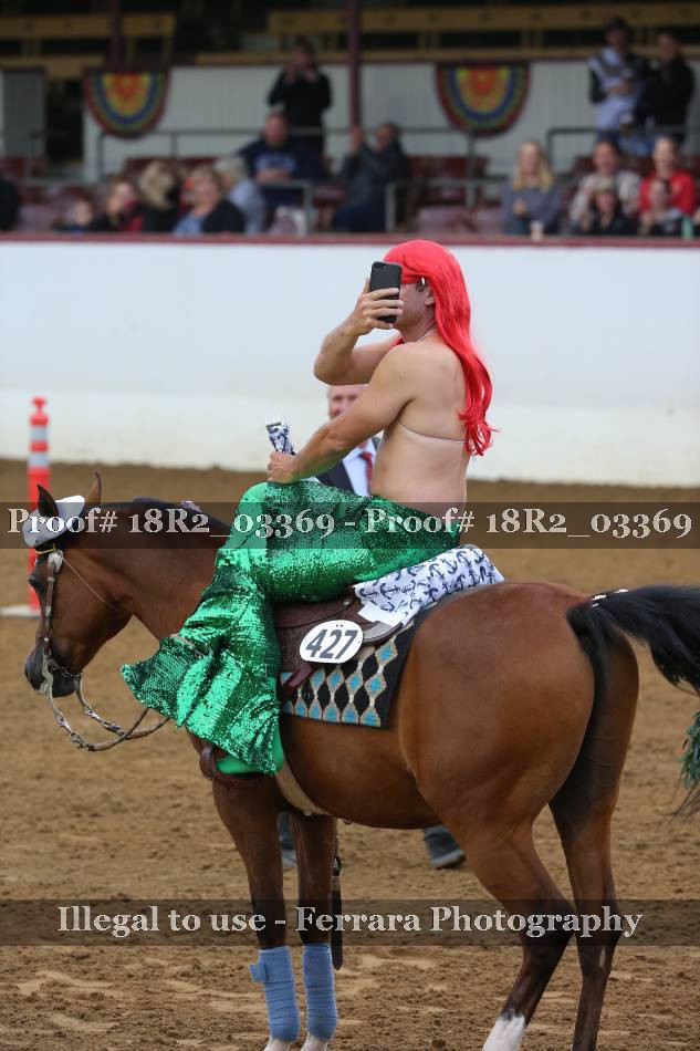 Proof Number 18R2_03369
