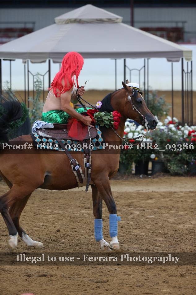 Proof Number 18R2_03386