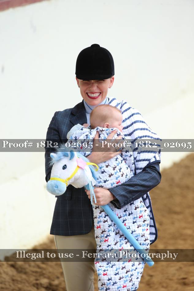 Proof Number 18R2_02695