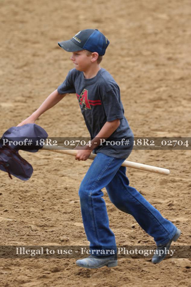 Proof Number 18R2_02704