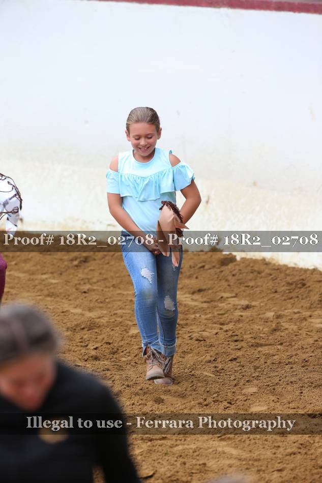Proof Number 18R2_02708