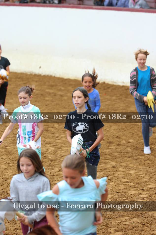 Proof Number 18R2_02710
