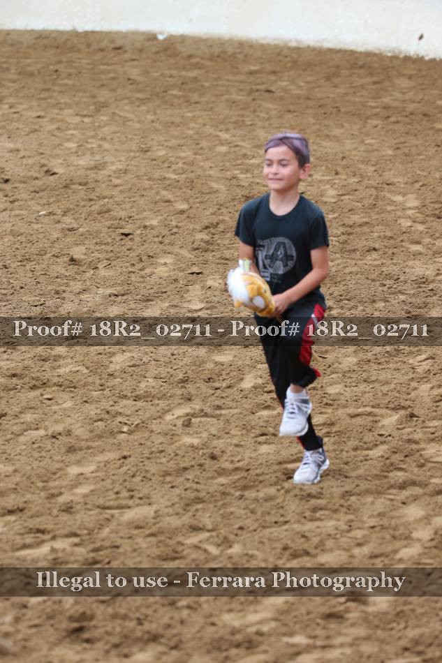 Proof Number 18R2_02711