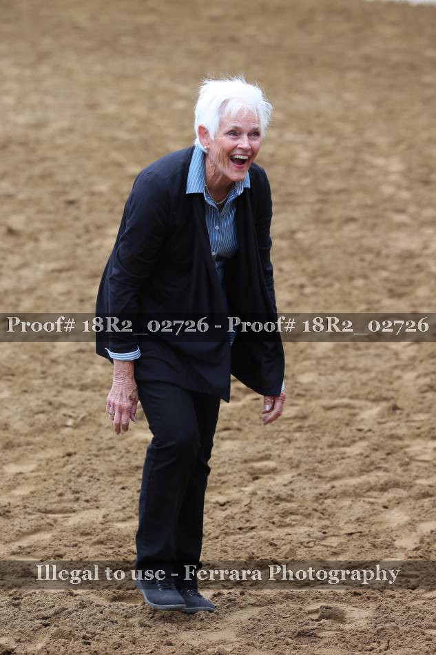 Proof Number 18R2_02726