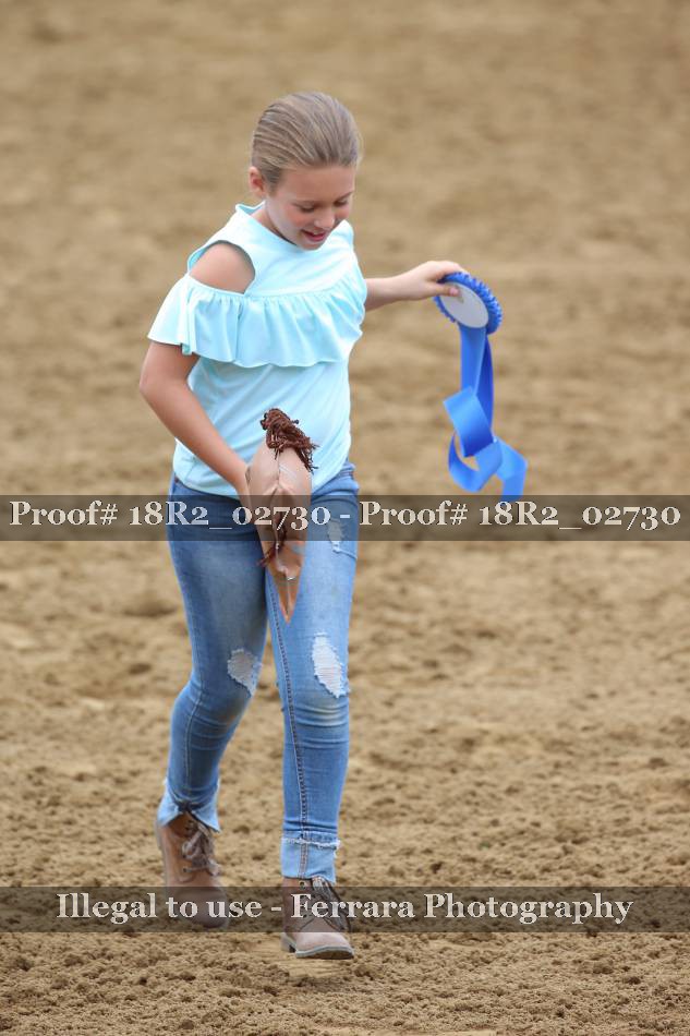 Proof Number 18R2_02730